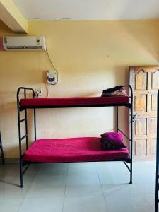 Anjuna Stays & backpackers