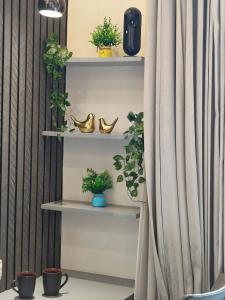 Urban Pashmina Premium Apartments near KR Puram on Old Madras Road