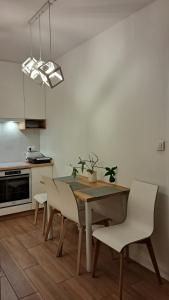 FENIX Apartament - Dębowy, Garaż podziemny, 2xParking, Ogród,Targi, Faktura VAT, dostęp 24h