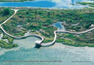 Studio in Rosolina Mare 41467