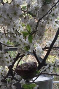 Maisons de vacances Maison Au Jardin : photos des chambres