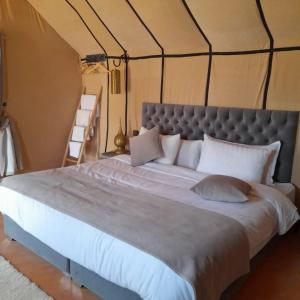 Mhamid Baza Luxury Camp