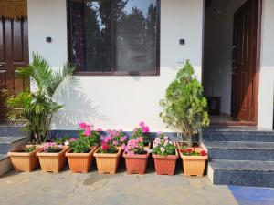 Dinnekere Homestay - Private Stay, Home Food, Estate, Near to Sight seeing