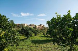 Charming Villa with Lemon Garden Near Lido di Noto Beach