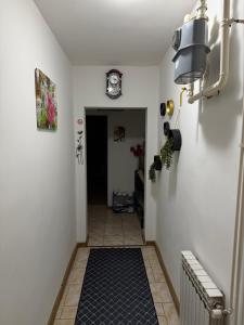 Apartman Tina