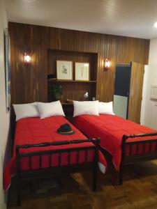 Casa Piabanha - Centro Histórico