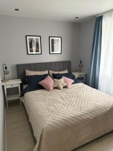 Rezekne City Center Apartment 43