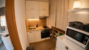 4 Apartments Vila in City Centre