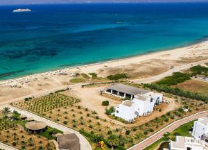 Aronis Plaka Naxos Naxos Greece