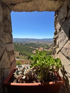 Lo Mirador De Forès