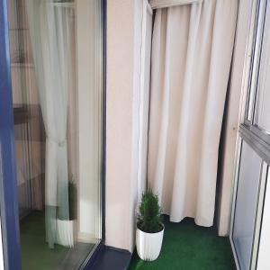 AM Studio Apartment in City Centre