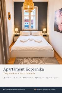 Apartament Kopernika przy Starym Mieście Kopernika przy Starym Rynku