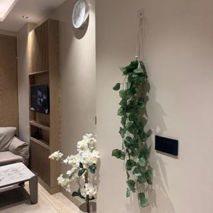 Premium 2 RK Apartment for Families & Friends