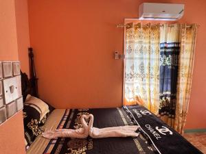 Mammee Bay Hideaway