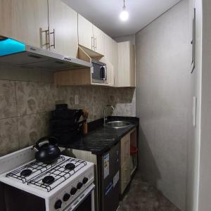 Dpto 1 Dormitorio