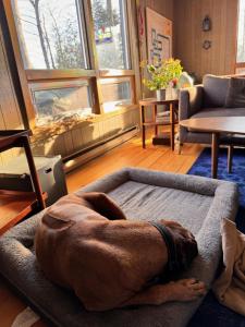 Lake Eugenia Escape - Cozy Lakefront with Hot Tub