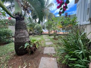 Unique Stunning Apartments - Pool, Location, Paradise