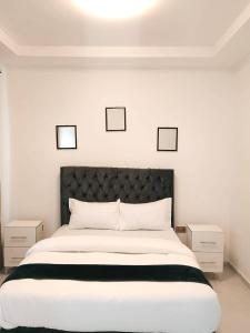 2nd street ibex apartment