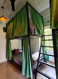 Roaming Souls Hostel Munnar