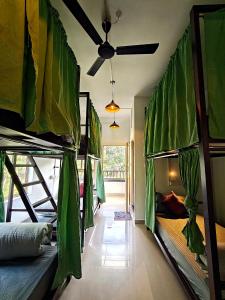 Roaming Souls Hostel Munnar