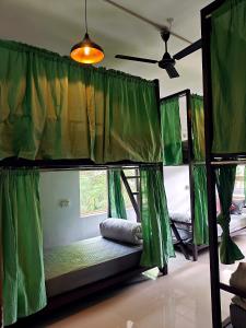 Roaming Souls Hostel Munnar