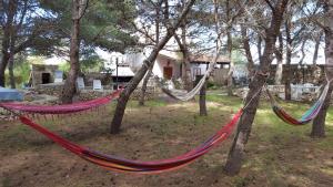 Villa con Pineta tra paese e mare