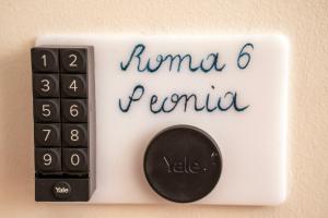 Roma 6 Peonia