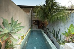 Uluwatu Kuru Kure Tropical Living