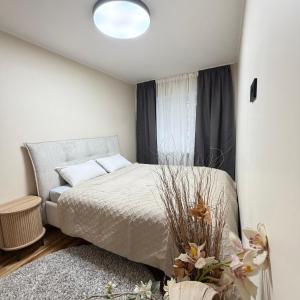 EVIS LTD apartments 6