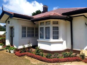 Hill Cliff Bungalow