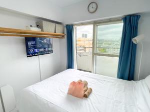 SC Hotel Kameari #1108 - Newly Renovated High Floor City View Near Station Mall Disney Access