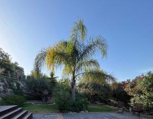 Casa Martens
