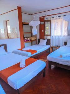 Hotel Analamazaotra - Aloe & Rosette