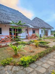 Hotel Analamazaotra - Aloe & Rosette