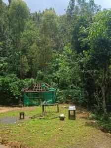 Wildwood banasura Villa
