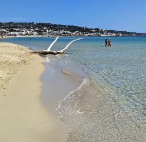 Morello Beach Hotel