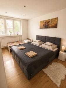 Farmársky apartmán Agrofarma Dianiška