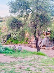 Private Campsites - Steinheim Game Farm