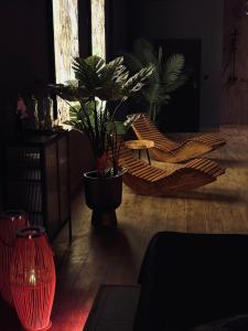 Tropical Spa Apartament z jacuzzi i sauną