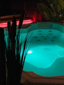 Tropical Spa Apartament z jacuzzi i sauną