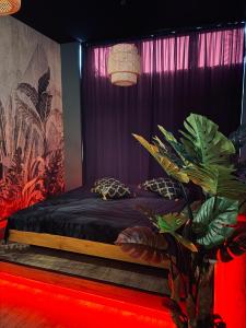 Tropical Spa Apartament z jacuzzi i sauną