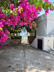Villa Telendos