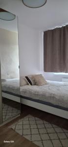 Vistula Studio