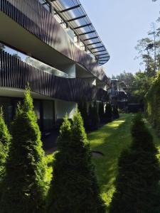 Amber Apartment Forest View