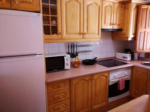 VV Sweet Tabaiba "by henrypole home"