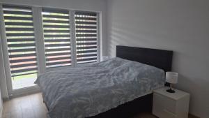 Apartament Rowy Polna 5