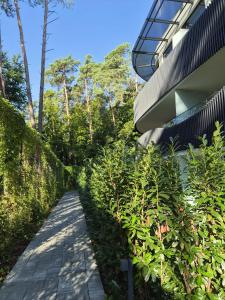 Stegna Gold Amber Apartment