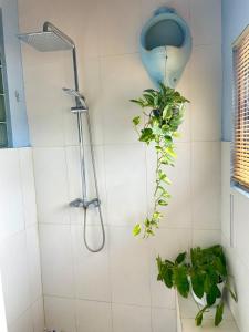 Tropical 3BR Pool Villa near Seminyak & Canggu