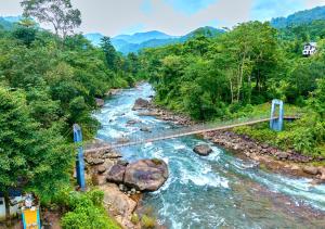 The Wild Anakulam Pool Resort Munnar by VOYE HOMES