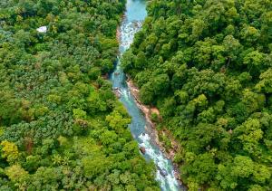 The Wild Anakulam Pool Resort Munnar by VOYE HOMES